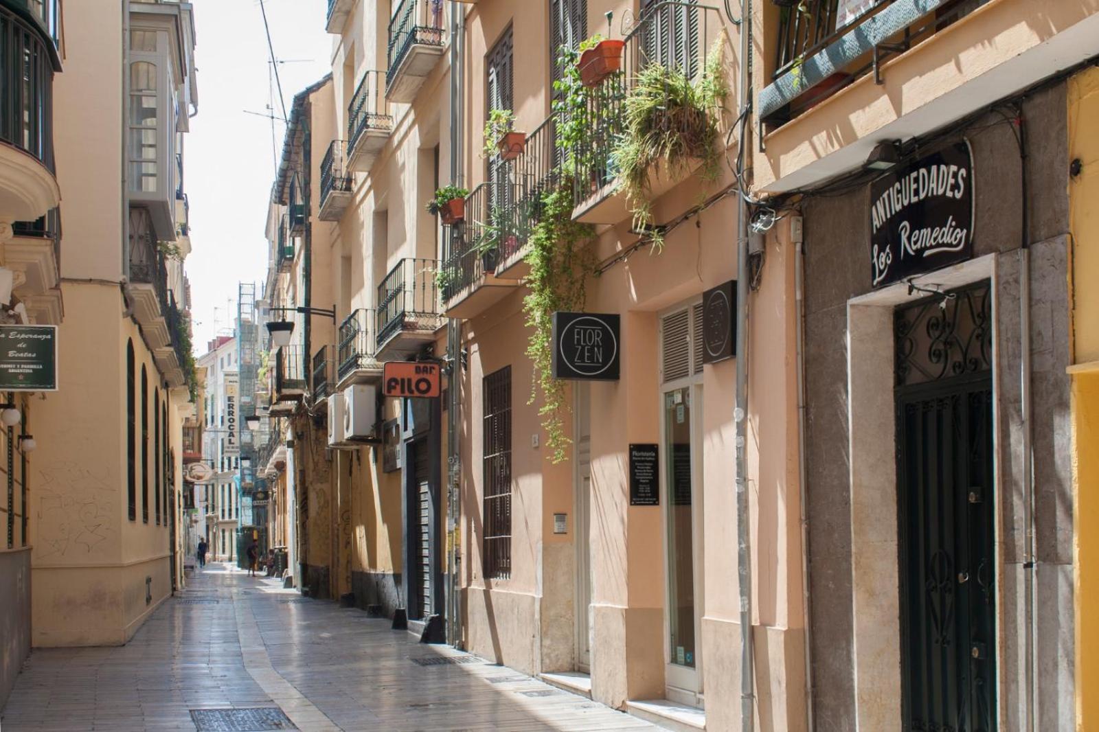La Terraza De Beatas Daire Málaga Dış mekan fotoğraf
